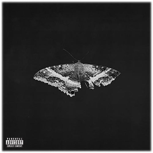 KENDRICK LAMAR – TO PIMP A BUTTERFLY 10. JAHRESTAG, SCHWARZES VINYL