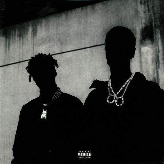 BIG SEAN & METRO BOOMIN - DOUBLE OR NOTHING LP