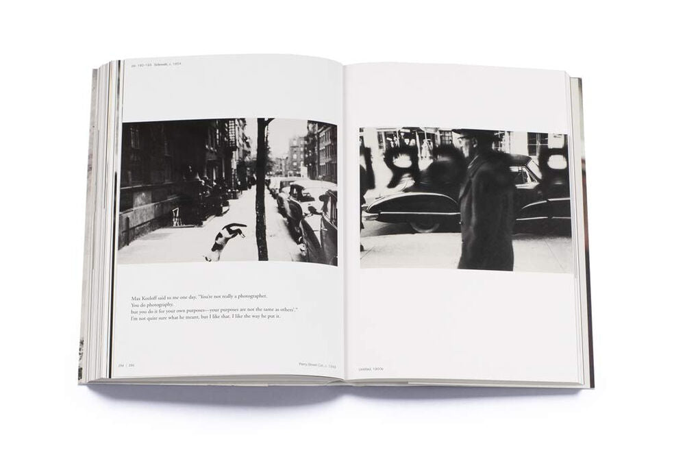 ALL ABOUT  SAUL LEITER -  PAULINE VERMARE