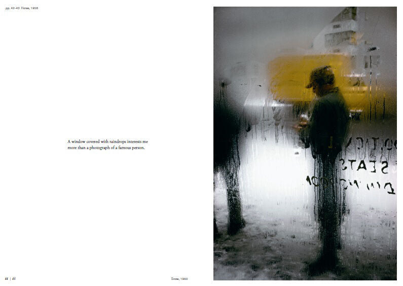 ALL ABOUT  SAUL LEITER -  PAULINE VERMARE