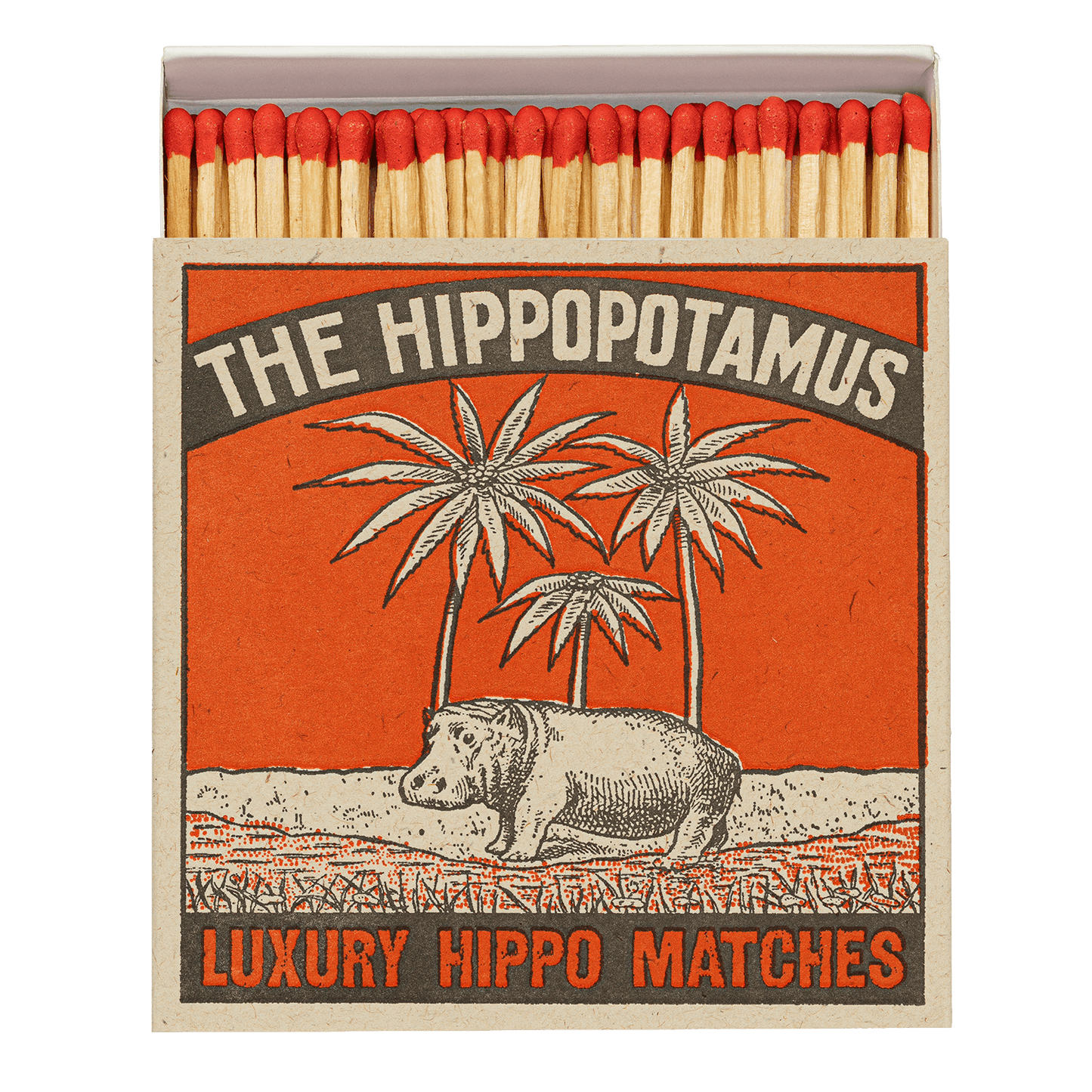 THE HIPPOPOTAMUS - THE ARCHIVIST MATCHES