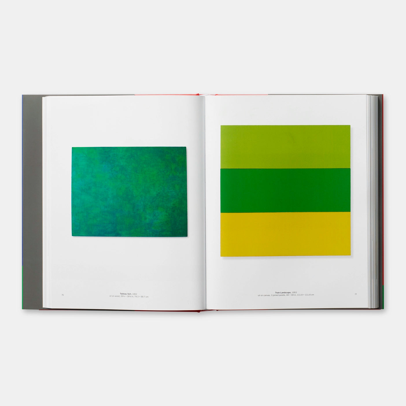 ELLSWORTH KELLY -TRICIA Y.PAIK