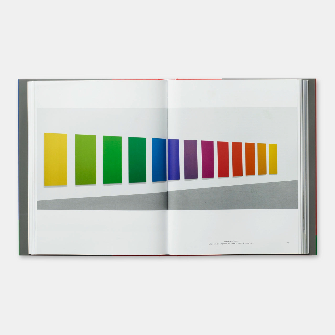 ELLSWORTH KELLY -TRICIA Y.PAIK