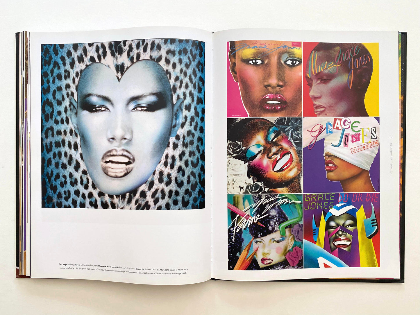 RICHARD BERNSTEIN STARMAKER: ANDY WARHOLS COVER-KÜNSTLER