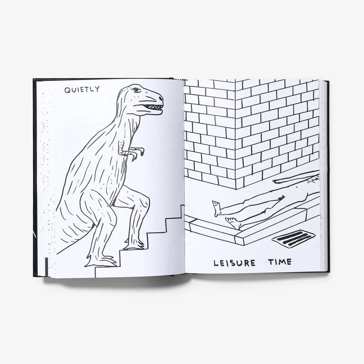 I AM THE JUG YOU ARE THE GLASS -DAVID SHRIGLEY