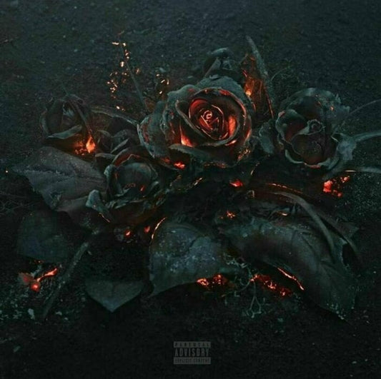 FUTURE - EVOL LP