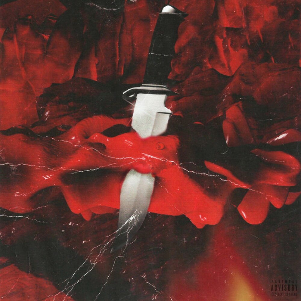 21 SAVAGE METRO BOOMIN - SAVAGE MODE ANNIVERSARY EDITION