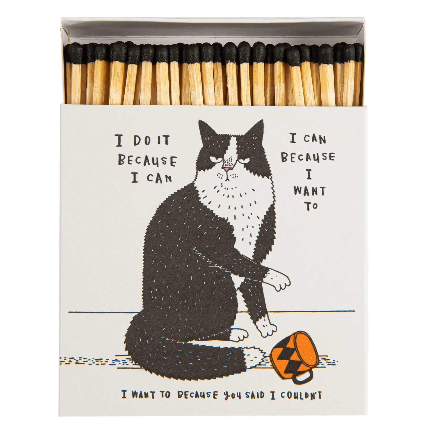 I DO MIT BECAUSE I CAN - THE ARCHIVIST MATCHES