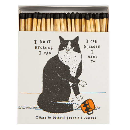 I DO MIT BECAUSE I CAN - THE ARCHIVIST MATCHES