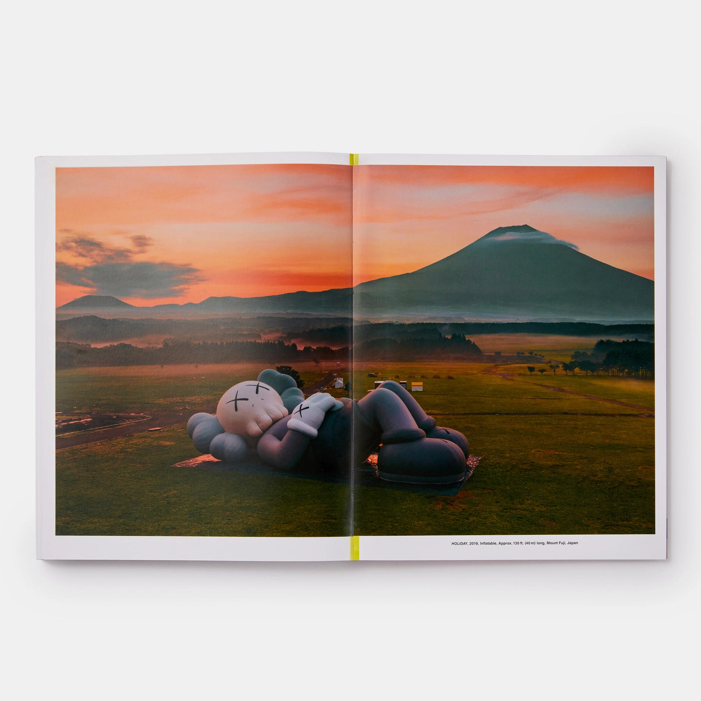 KAWS: WHAT PARTY (BLACK ON PINK EDITION)ESSAYS VON DANIEL BIRNBAUM UND EUGENIE TSAI