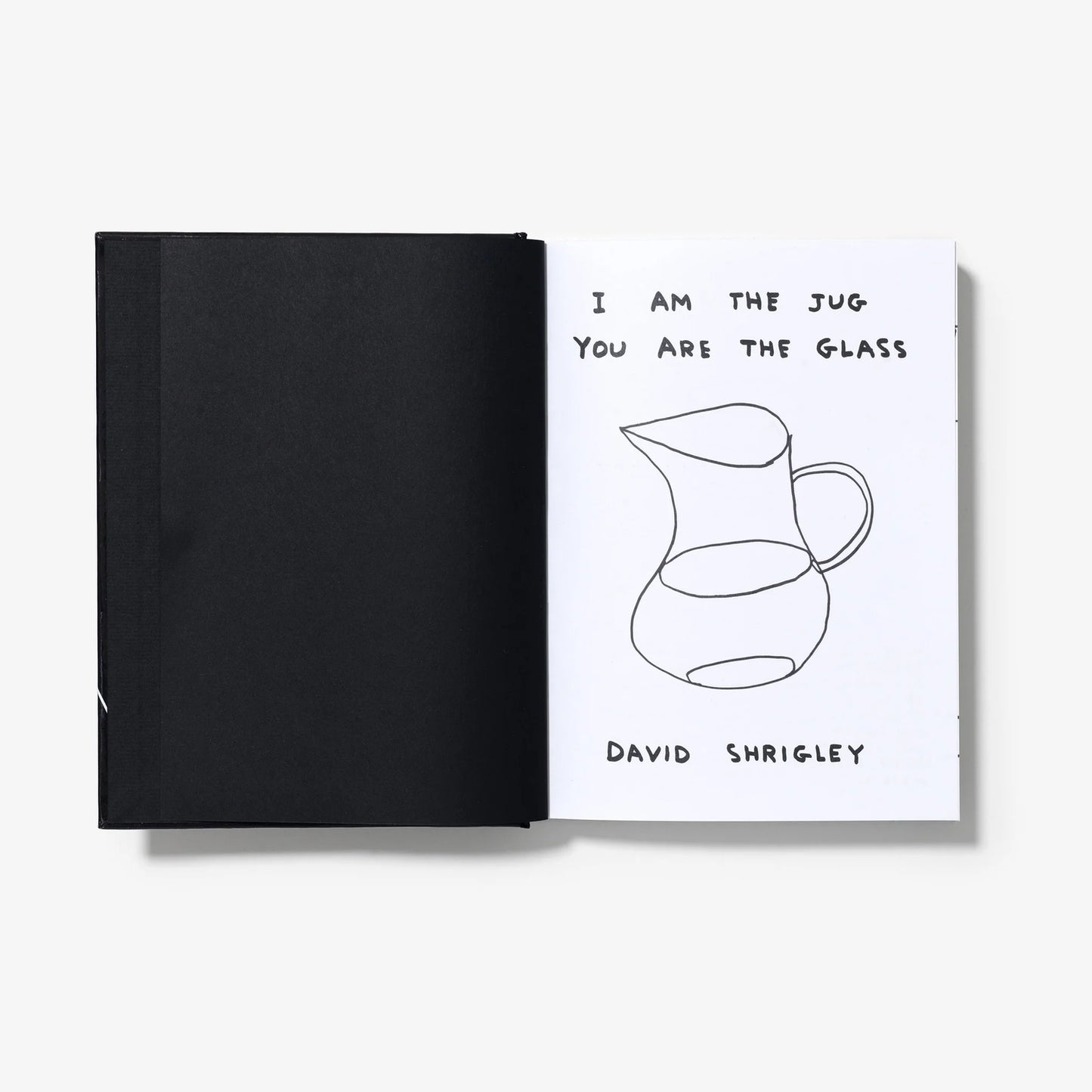 I AM THE JUG YOU ARE THE GLASS -DAVID  SHRIGLEY