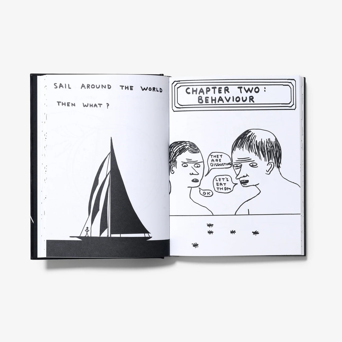 I AM THE JUG YOU ARE THE GLASS -DAVID  SHRIGLEY