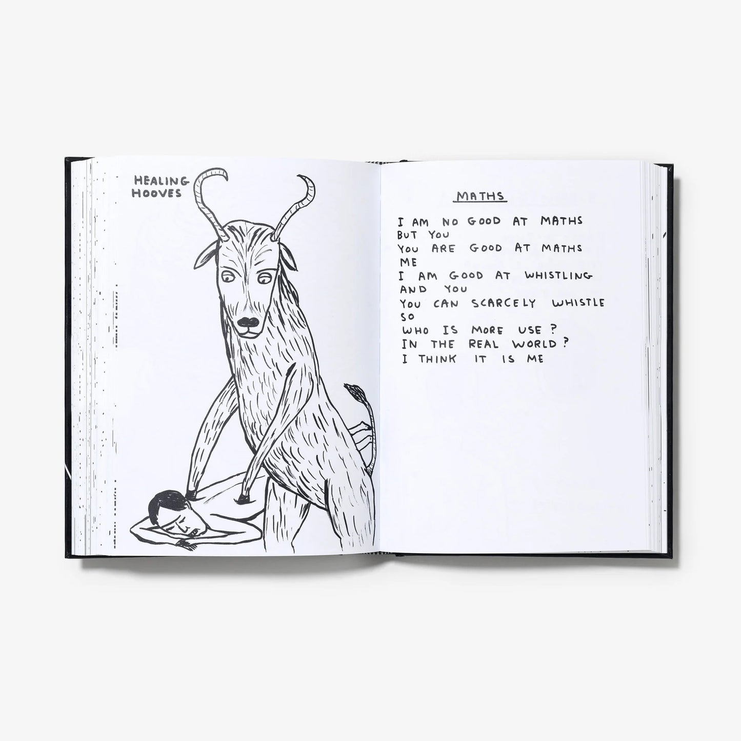 I AM THE JUG YOU ARE THE GLASS -DAVID  SHRIGLEY